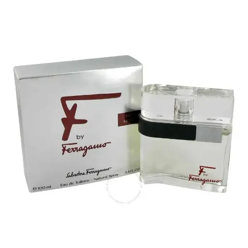 [8032529115653] FEREGAMO F MEN EDT 100ML